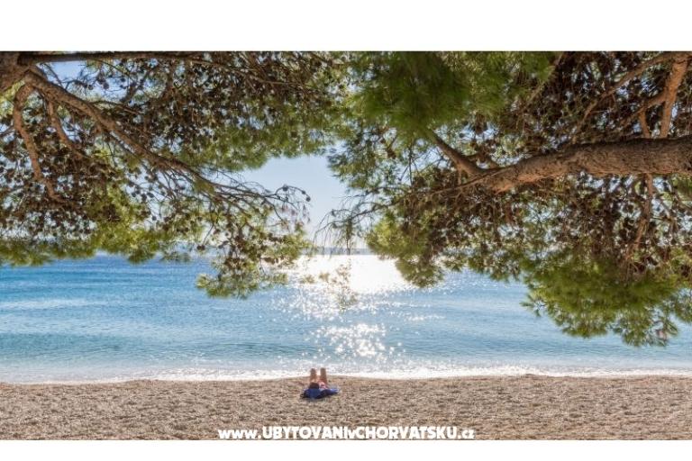 Appartamenti Malina i Krsto – foto 15
