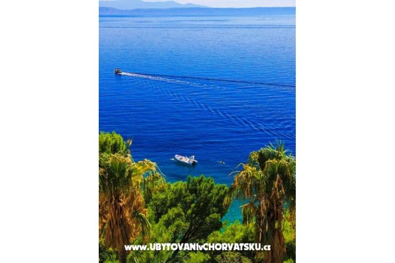 Appartamenti Malina i Krsto – foto 5