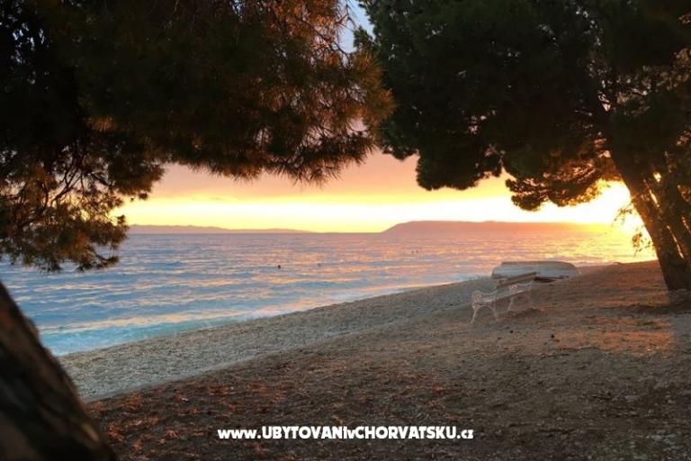 Appartamenti Malina i Krsto – foto 6