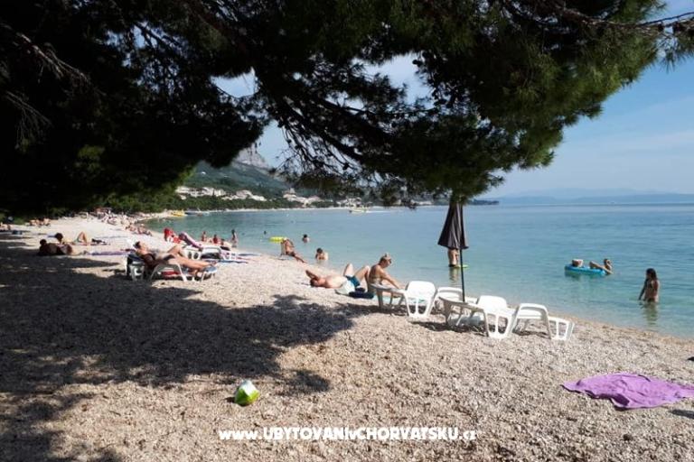 Appartamenti Malina i Krsto – foto 9