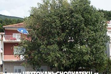 Appartamenti Maja Sevelj – foto 2
