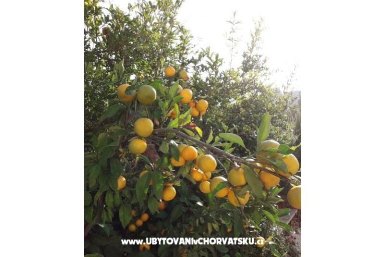 Appartamenti Čović – foto 14