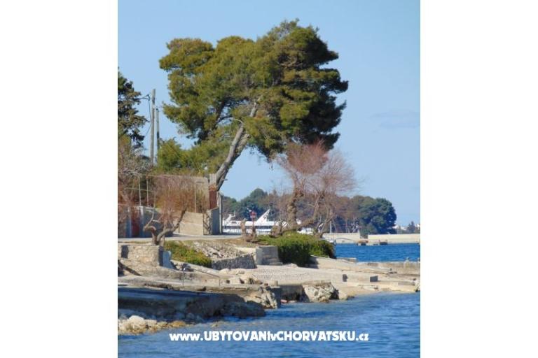 Appartamento rosa – foto 4