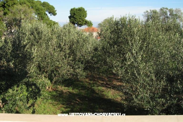 Appartamenti Ante – foto 2