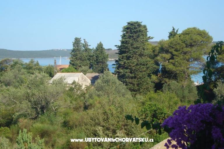 Appartamenti Branko Vidaković – foto 12