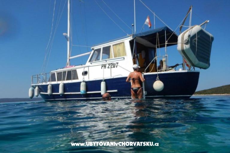 Appartamenti Galius Ugljan – foto 14