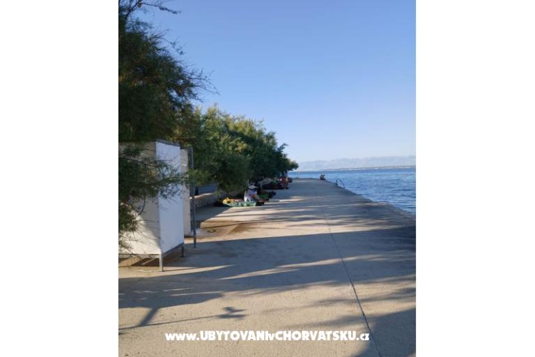Appartamenti Galius Ugljan – foto 20
