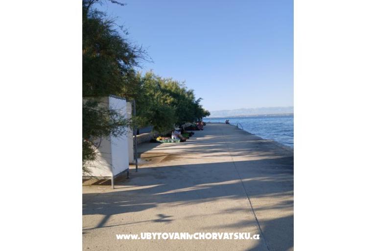 Appartamenti Galius Ugljan – foto 5