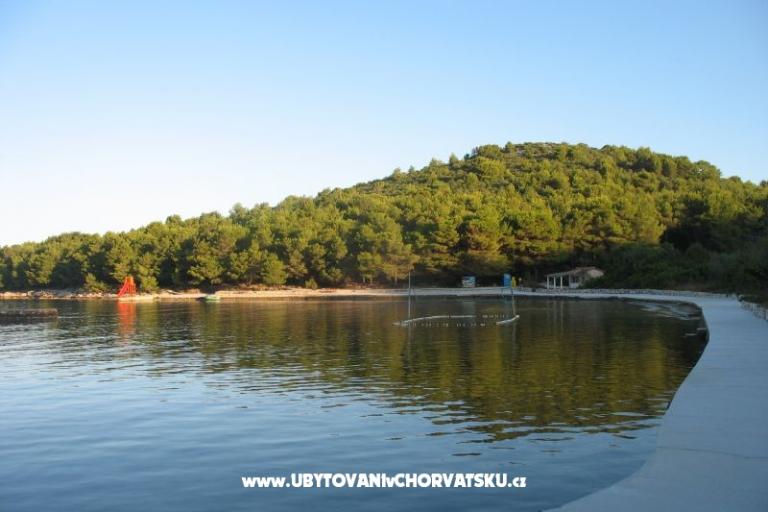 Appartamenti Tomislav – foto 7