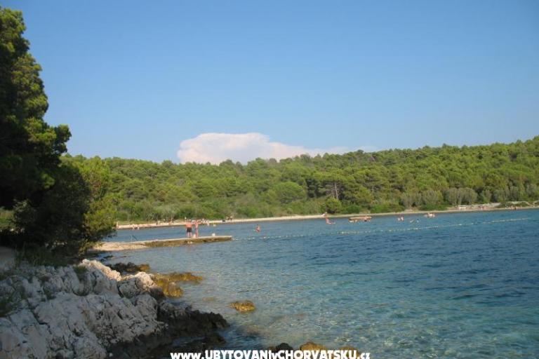 Appartamenti Tomislav – foto 8