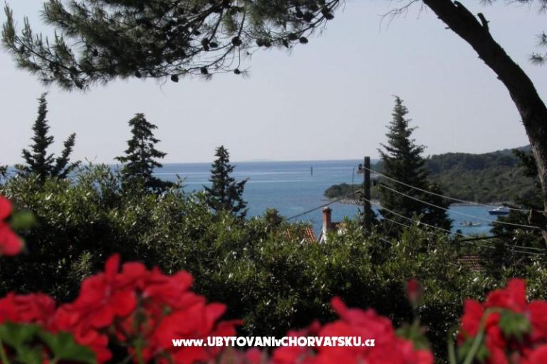Appartamenti Mrva – foto 11