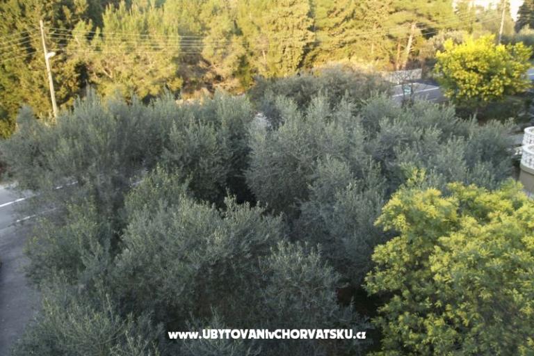 Appartamenti Mrva – foto 12