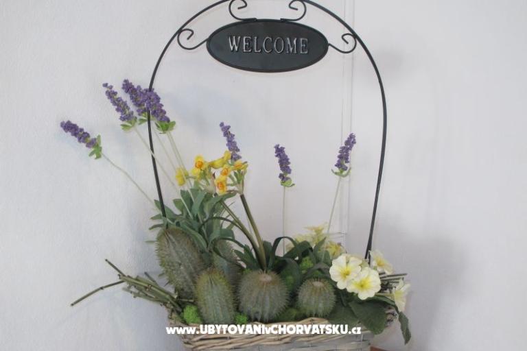 Casa Toma – foto 13