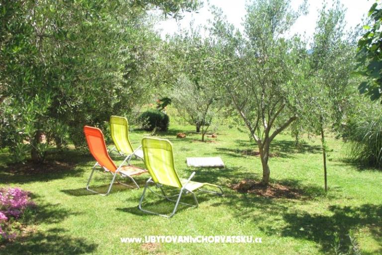 Casa Toma – foto 6