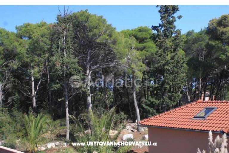 Appartamenti Mirjana – foto 14