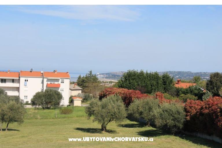 Apartma Olive garden – foto 16