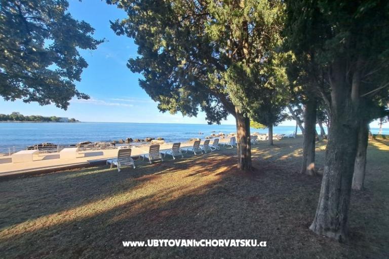 Appartamenti Boris – foto 11