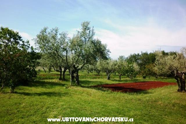 Appartamenti Linda – foto 3