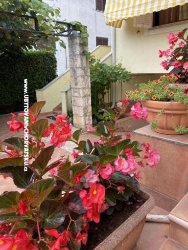 Appartamenti Maris  – foto 2