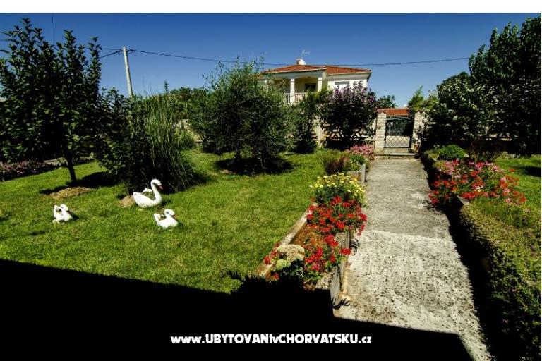 Appartamenti Paradinovic – foto 10