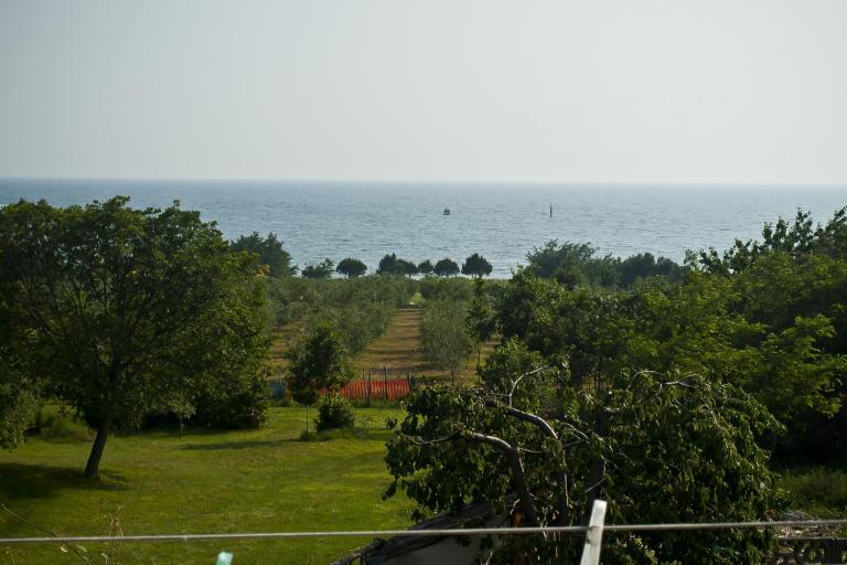 Appartamenti Paradinovic – foto 2