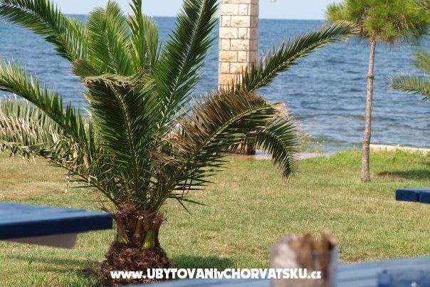 Appartamenti Nevenka – foto 11