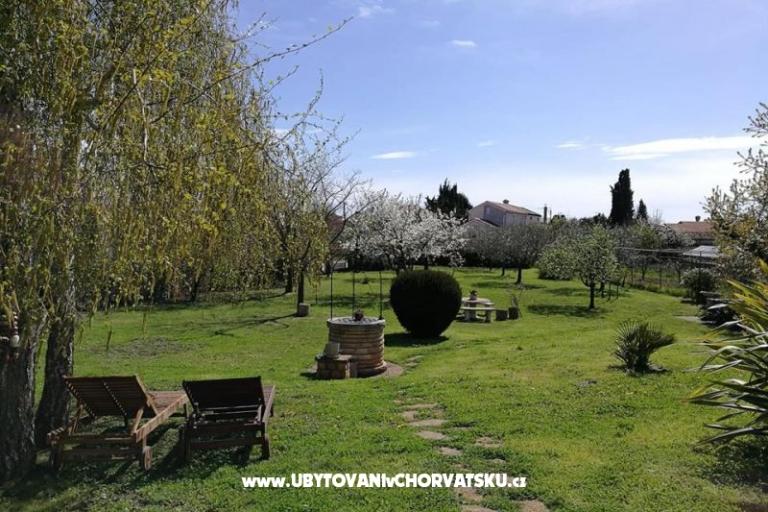 Appartamenti Jana – foto 8