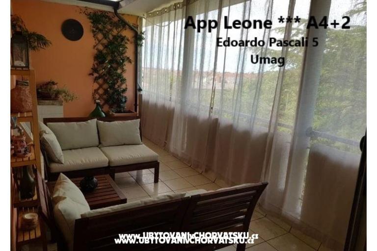 App Leone – foto 9