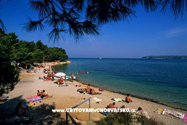 Appartamenti Lav – foto 7