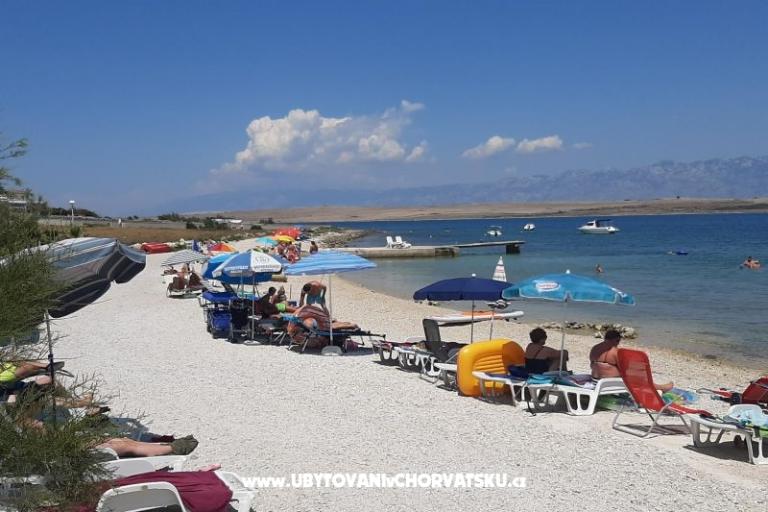 Appartamenti Alma – foto 12
