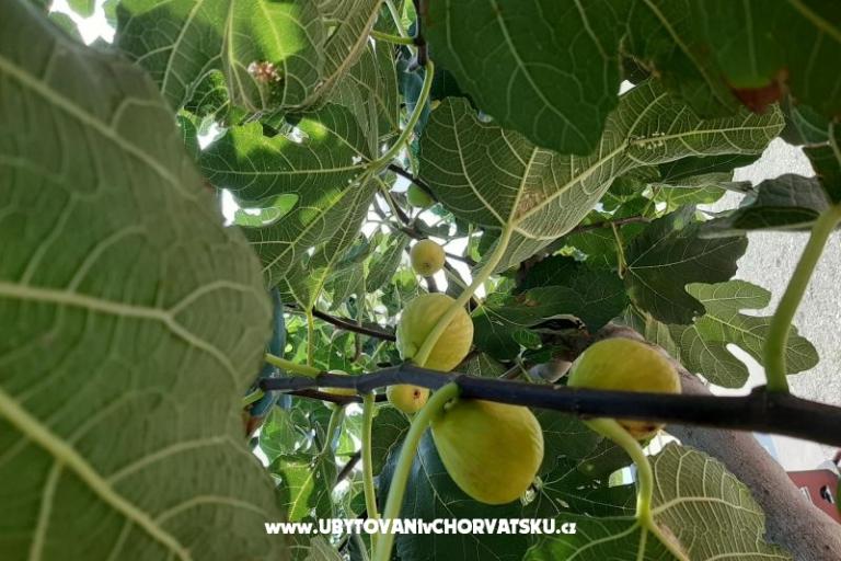 Appartamenti Alma – foto 16