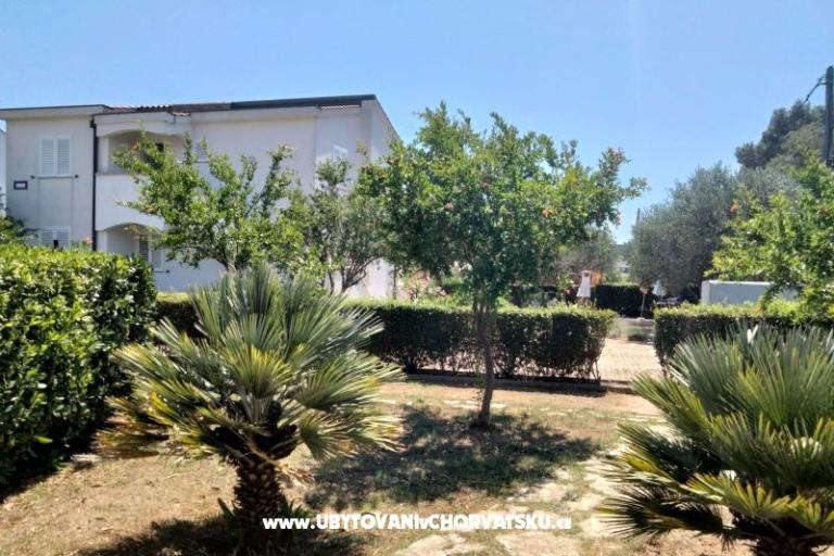 Appartamenti Budija / Viola – foto 10