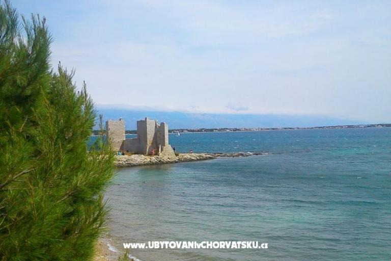 Appartamenti Budija / Viola – foto 12