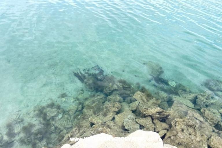 Appartamenti Budija / Viola – foto 13