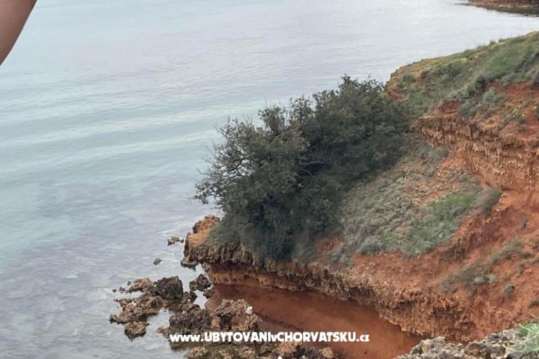 Appartamenti Budija / Viola – foto 16