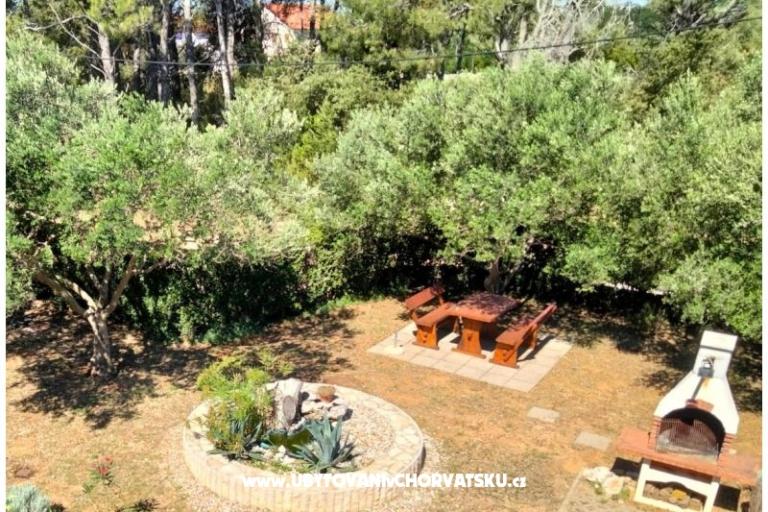 Appartamenti Budija / Viola – foto 3
