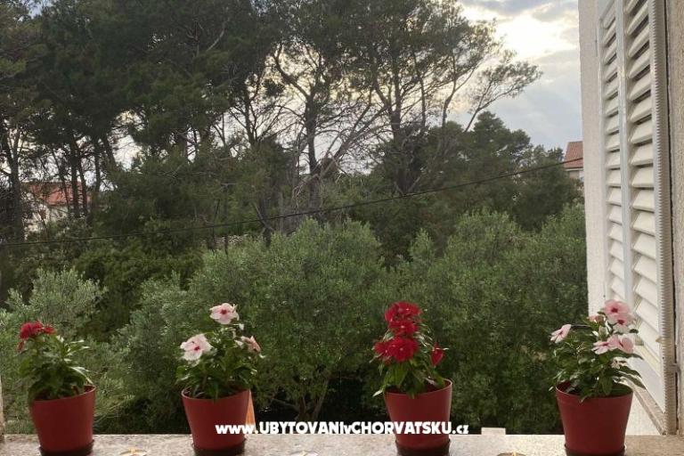 Appartamenti Budija / Viola – foto 7