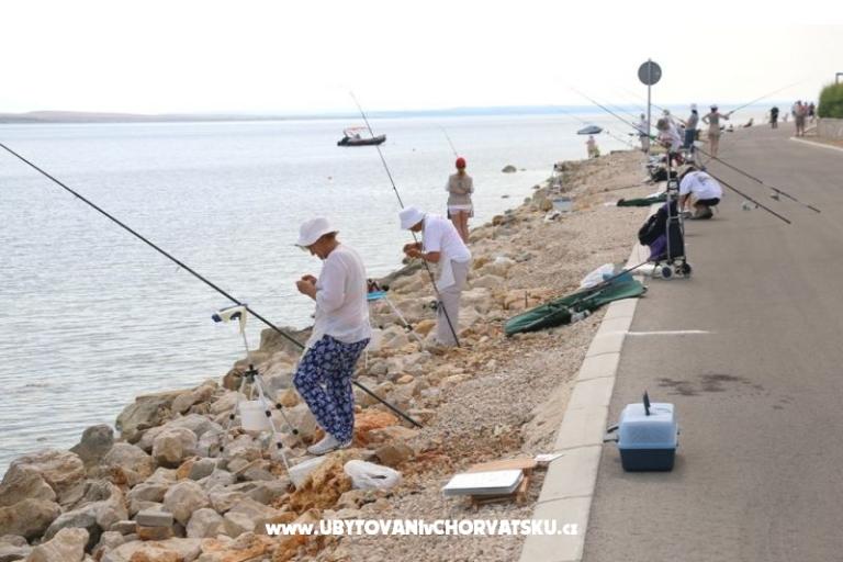 Appartamenti Debeljak – foto 8