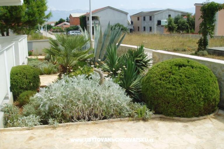 Appartamenti Fegeš – foto 11