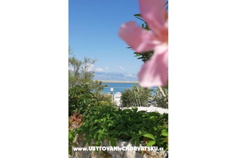 Appartamenti Knapić – foto 7