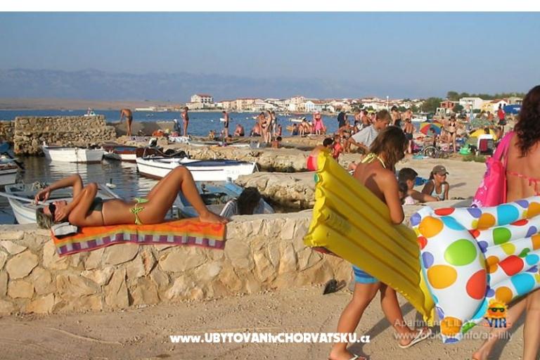 Appartamenti Lilly – foto 12