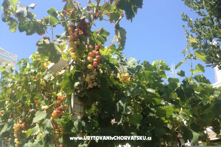 Appartamenti Plavo More – foto 26