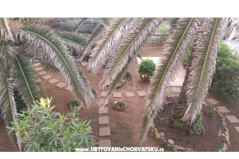 Appartamenti Milka Vir – foto 6