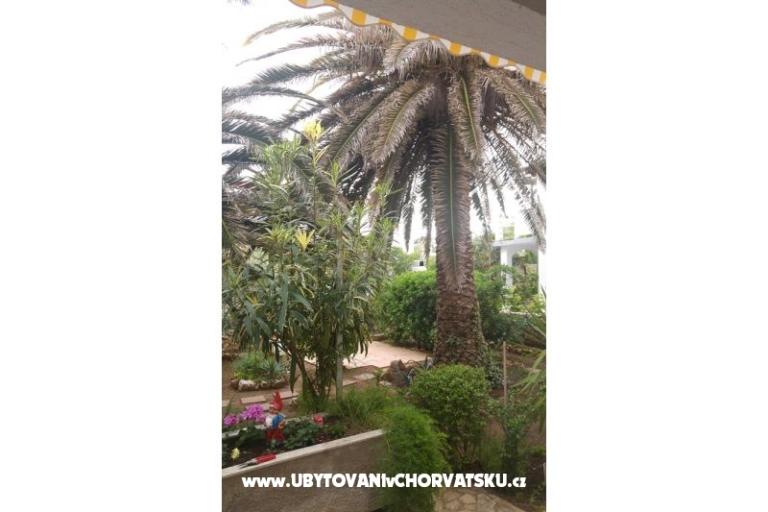 Appartamenti Milka Vir – foto 7