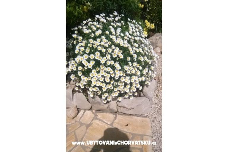 Appartamenti Štefanija – foto 11