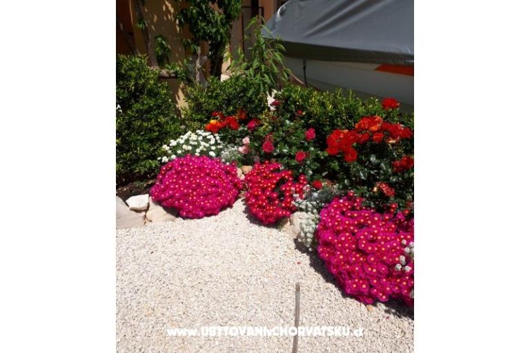 Appartamenti Štefanija – foto 14