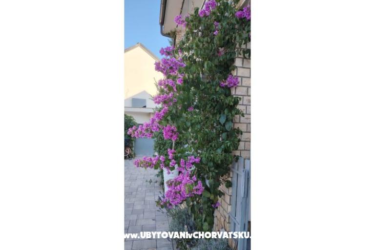 Appartamenti Sunce – foto 35