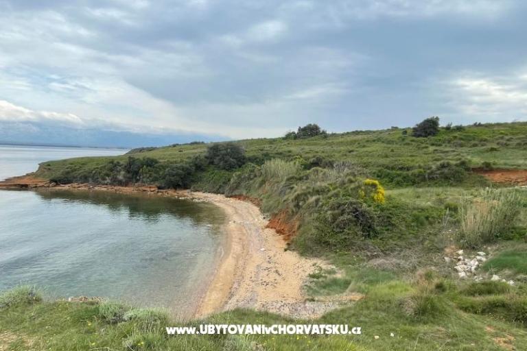 Appartamenti Budija / Lavanda – foto 3