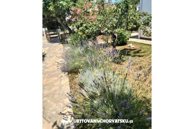 Appartamenti Budija / Lavanda – foto 4
