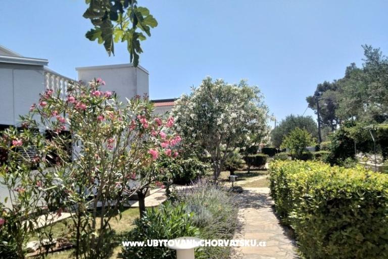 Appartamenti Budija / Lavanda – foto 6